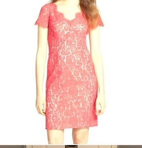 💫Eliza J Coral Lace Sheath💫